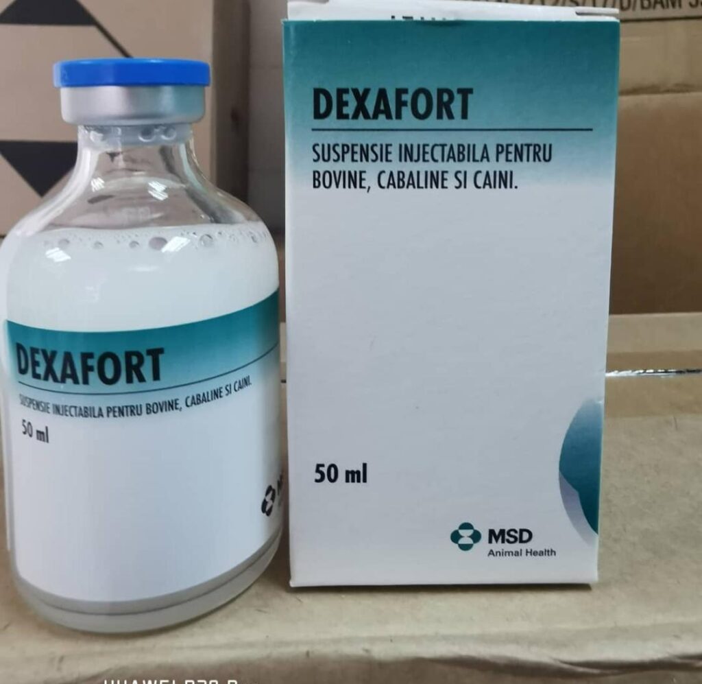 Buy Dexafort 50 ml