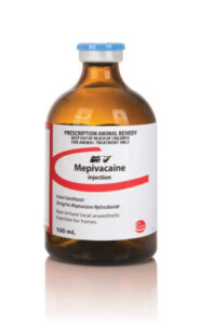 Mepivacaine Injection 100mL
